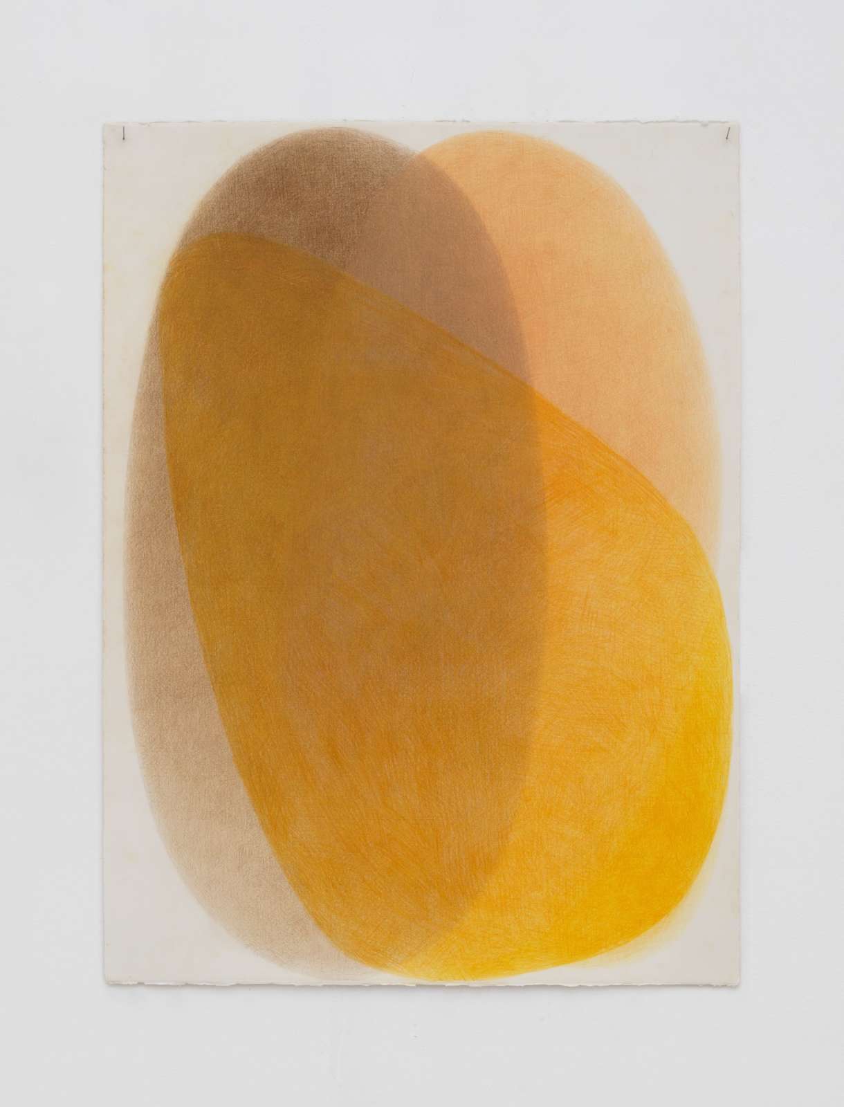 Margarita Gluzberg, 'Samoysvet 2', 2025, colour pencils on paper, 77 x 56 cm
