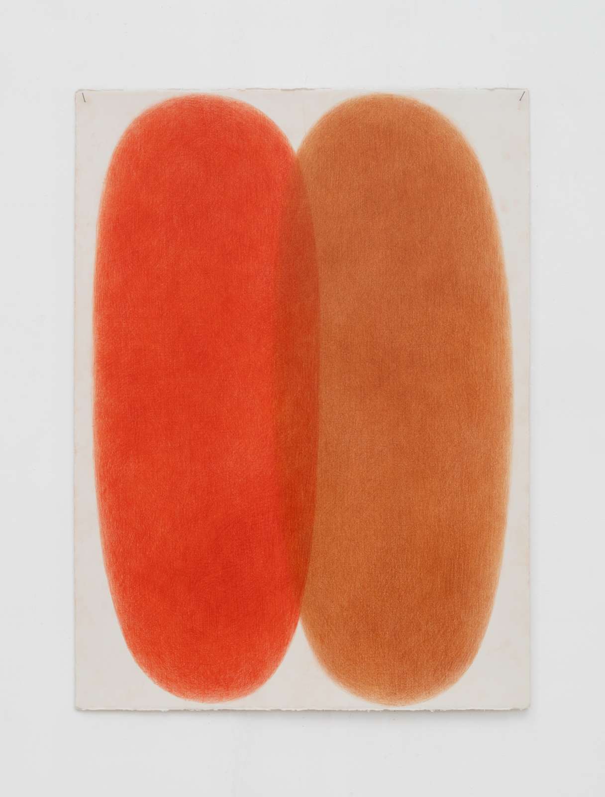 Margarita Gluzberg, Samoysvet 3, 2025, Colour pencils on paper, 77 x 56 cm