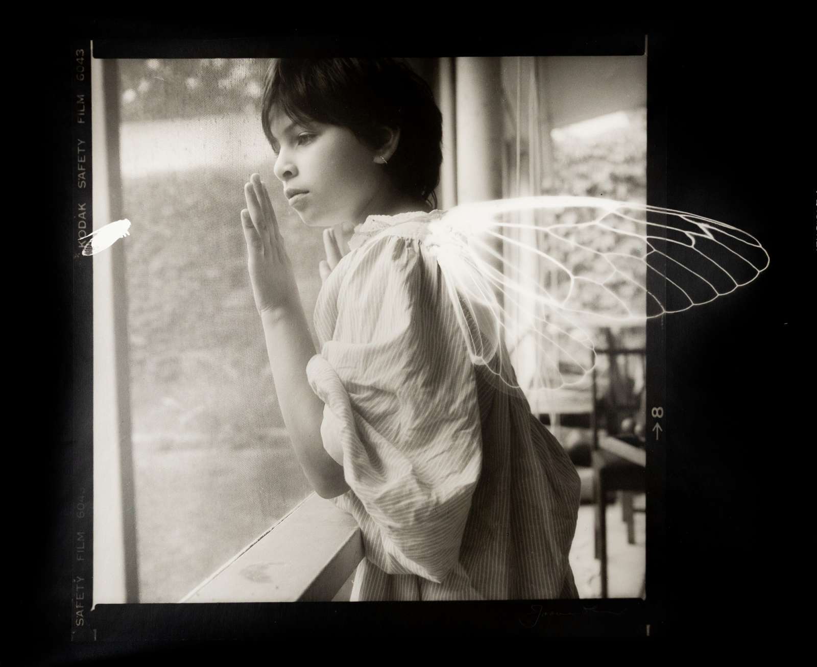 Joanne Leonard, 'Winged Ones', 1985, Silver print and cliché verre. Courtesy of the Artist and HackelBury Fine Art