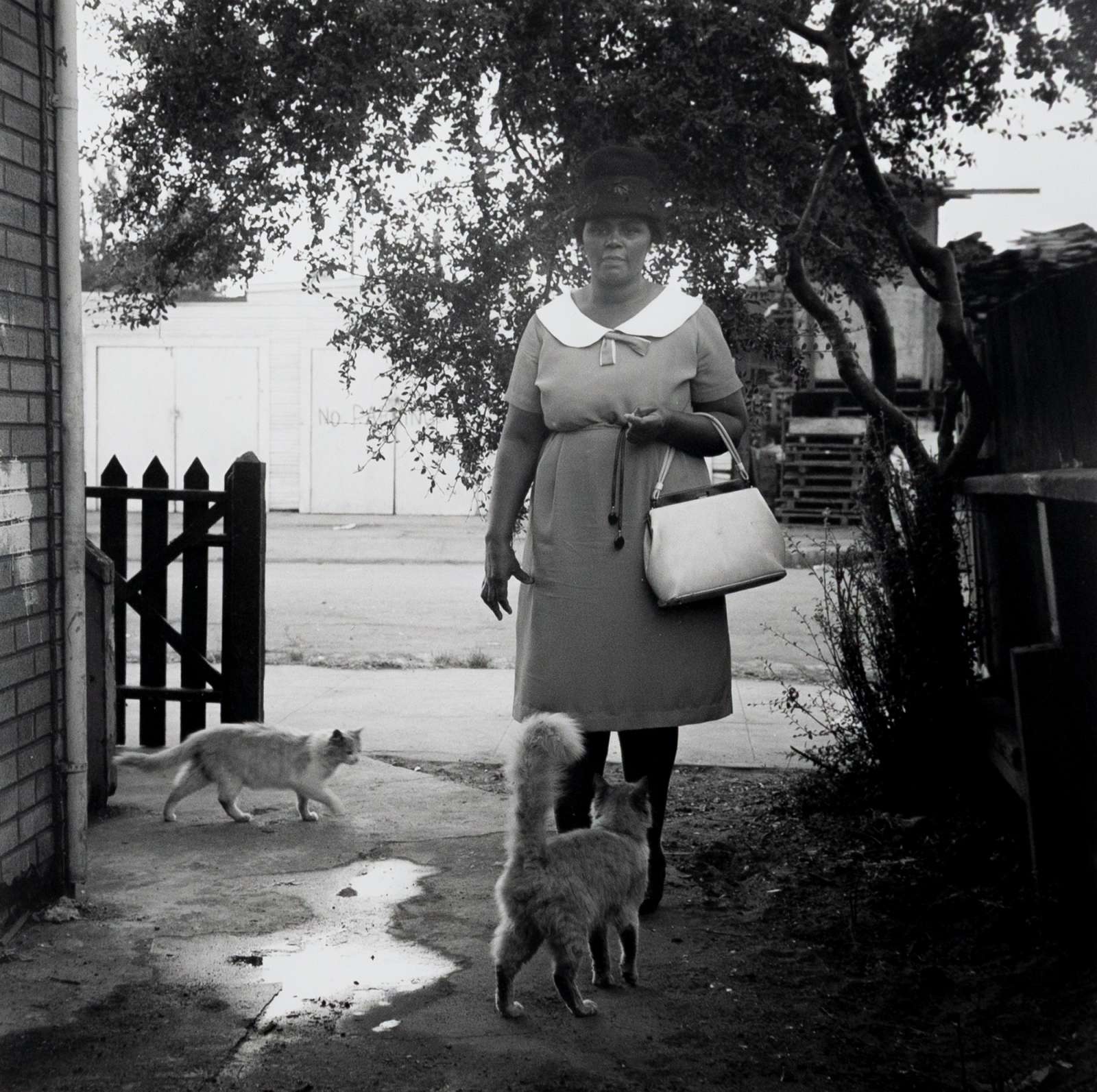 Joanne Leonard, 'Woman with Cats', 1960s, RC print, Paper size: 25.2 x 20 cm. Courtesy of the Artist and HackelBury Fine Art