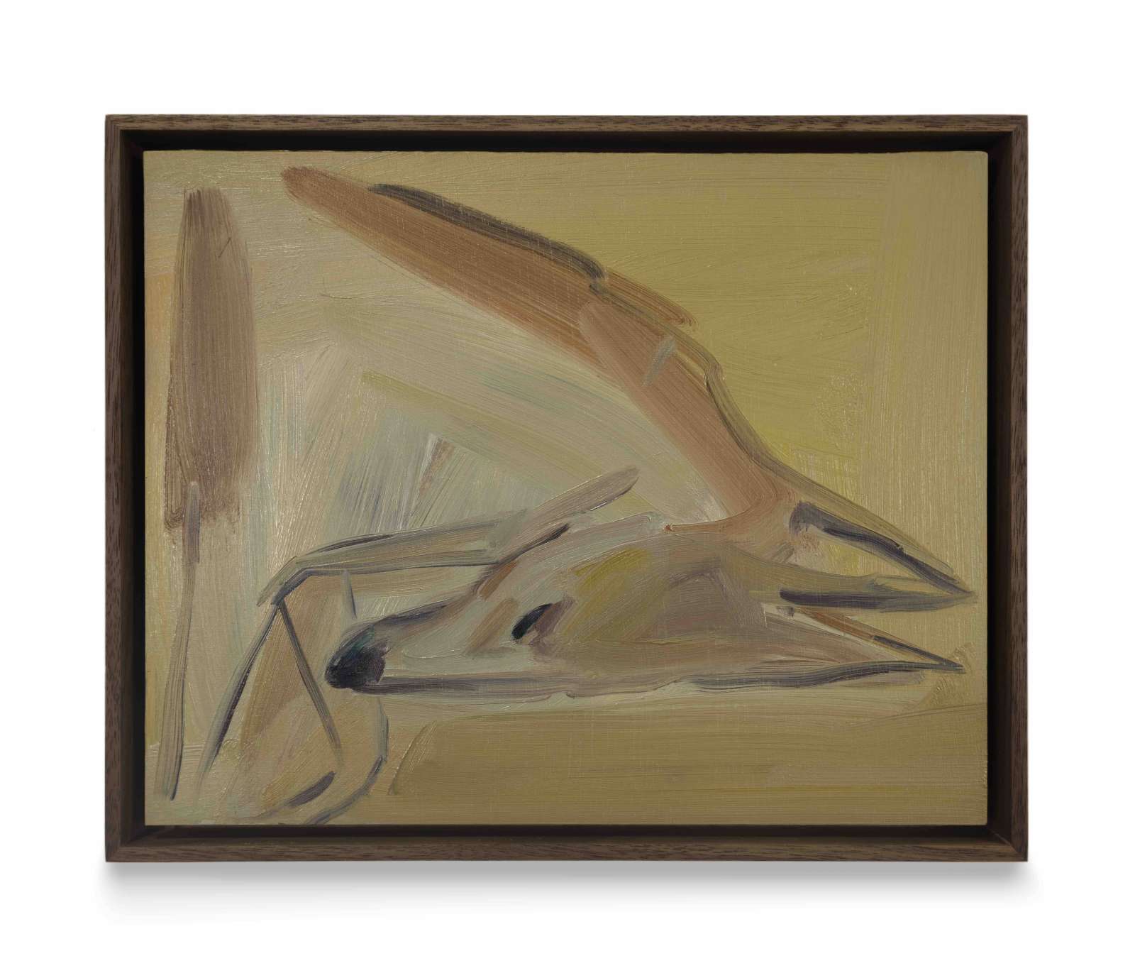 Eve Ackroyd, 'Untitled Sleeping Dog', 2024. Courtesy the Artist and Workplace, UK