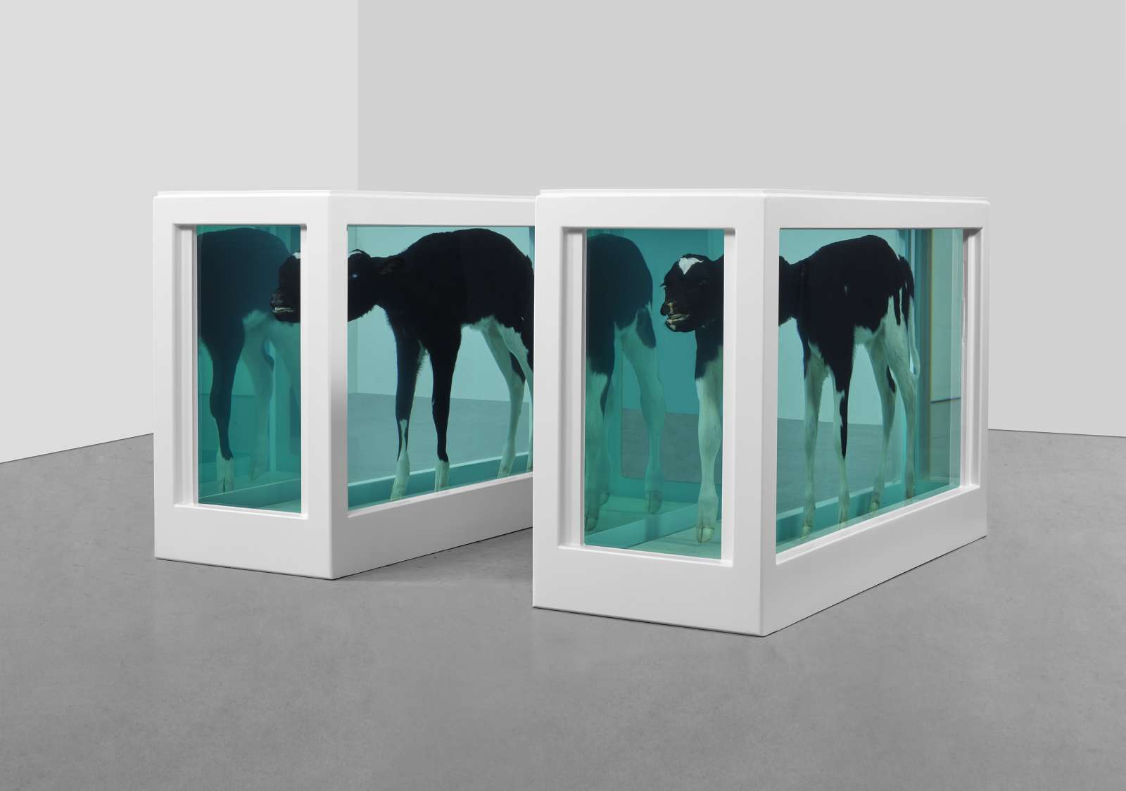 Damien Hirst, Cain and Abel, 1994