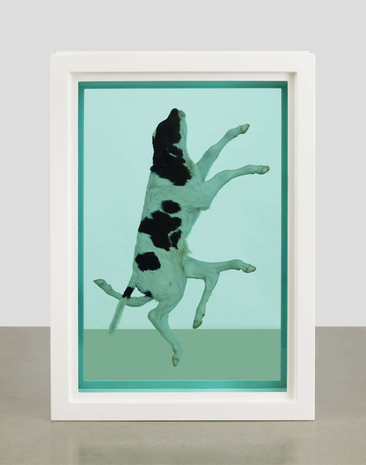 Damien Hirst, The Ascension, 2003