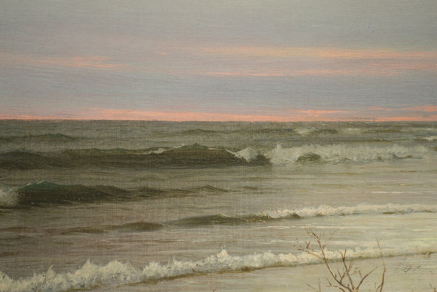 Spring Tide