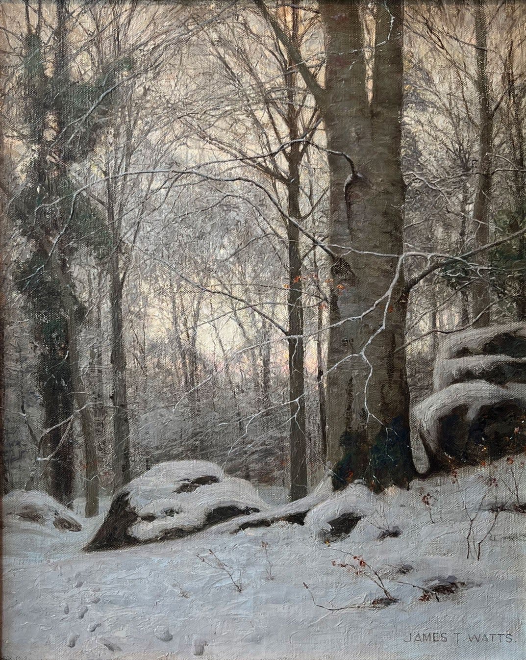 Snow in a Welch Wood