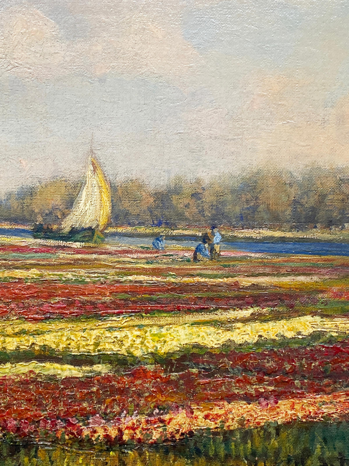 In the Flower Fields