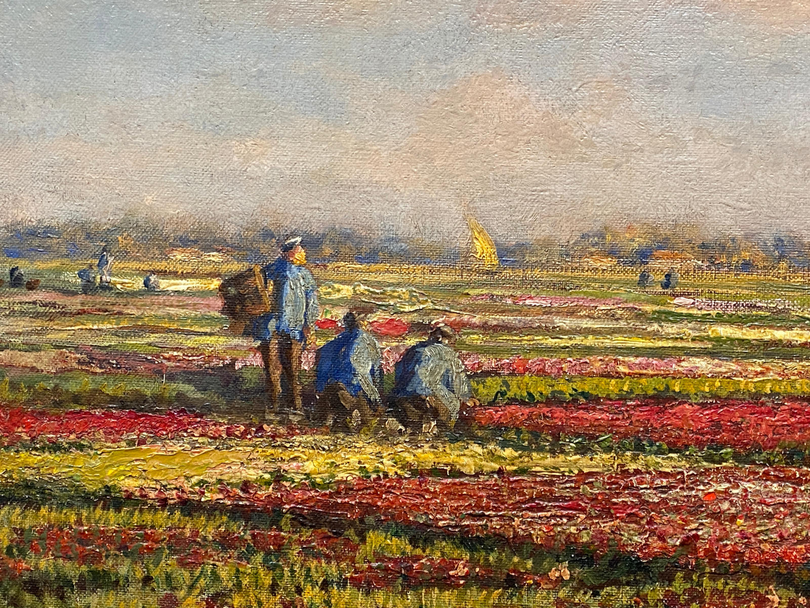 In the Flower Fields