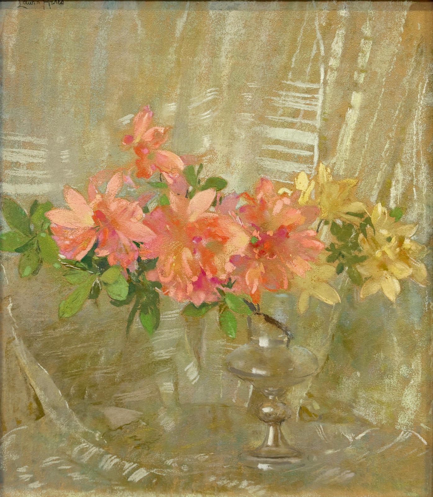 Azaleas