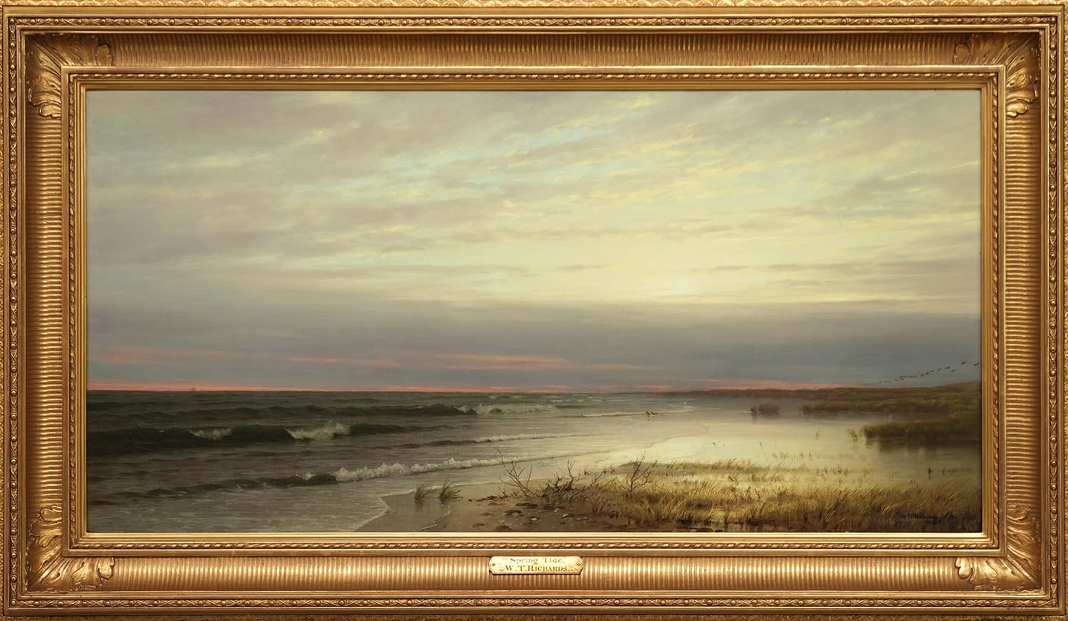 Spring Tide