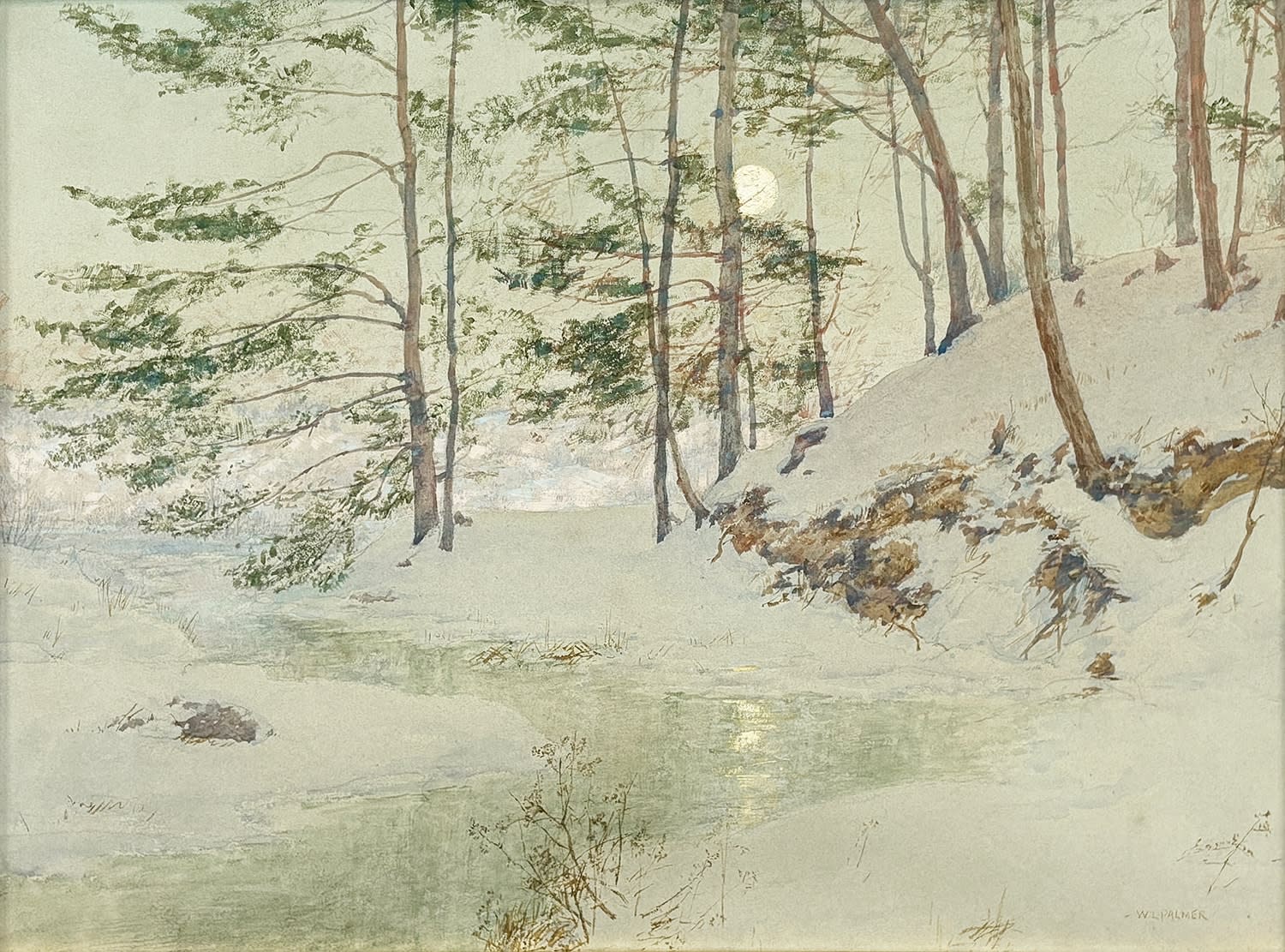 Moonlit Winter Night