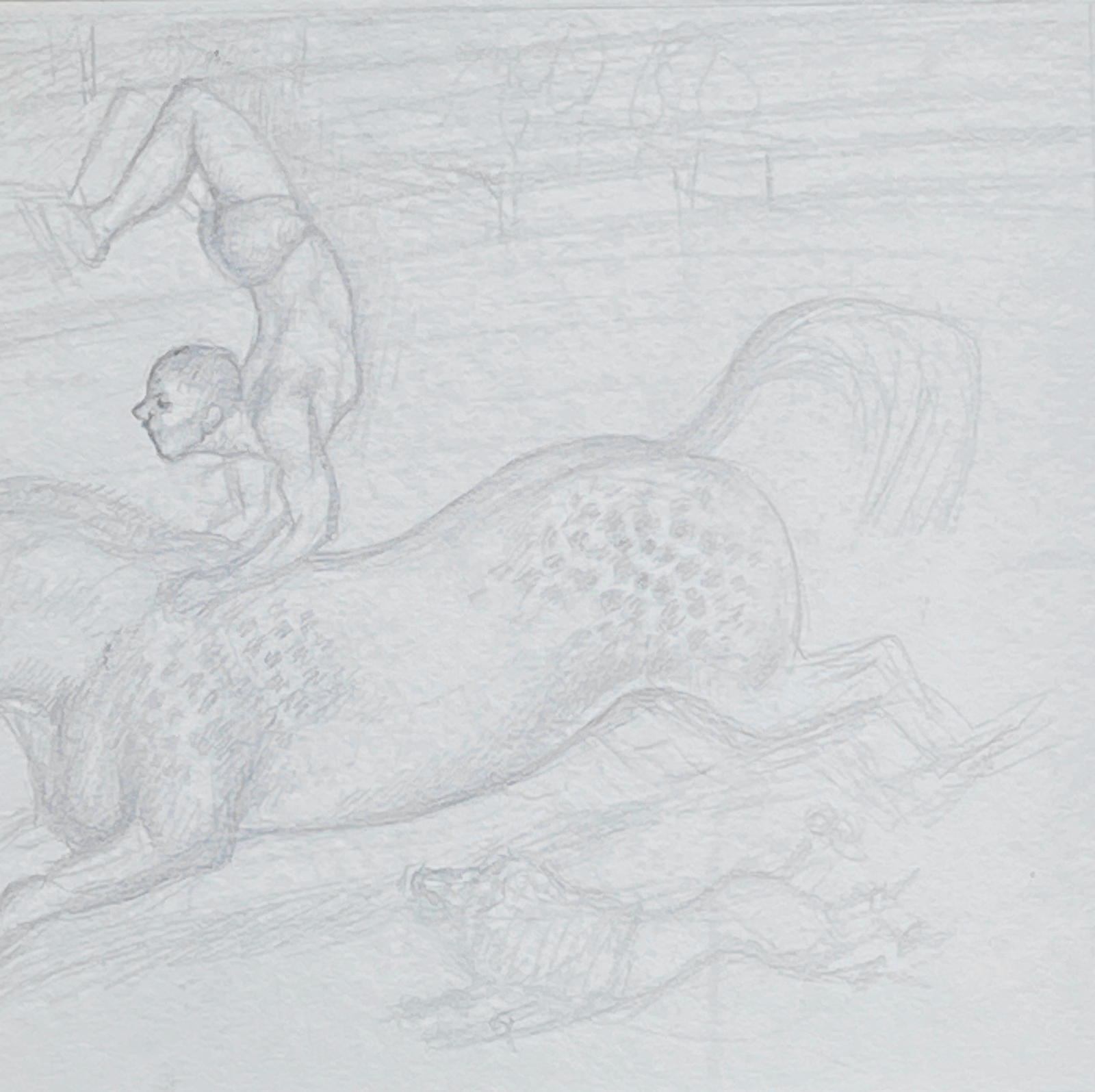Circus Rider
