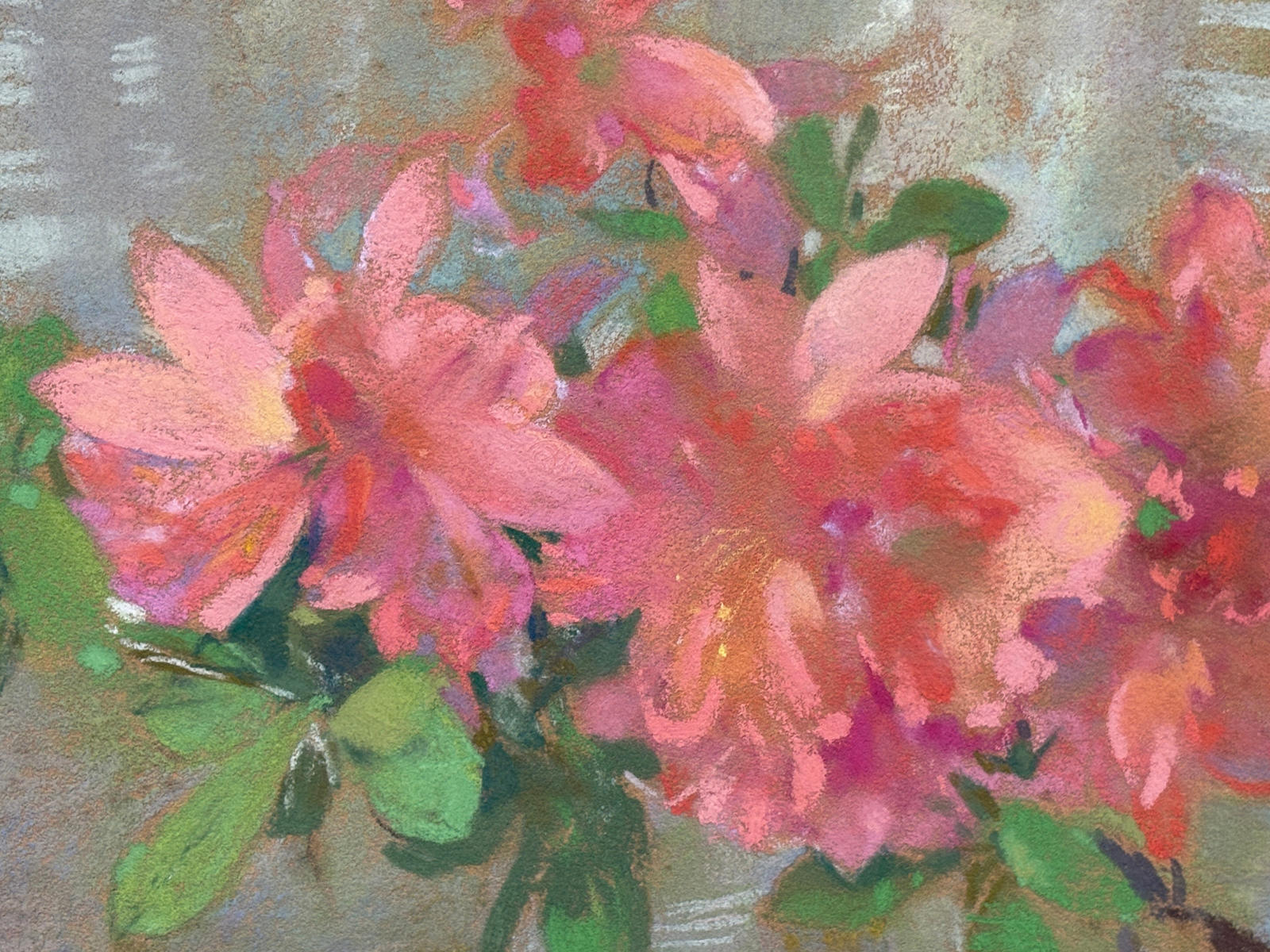 Azaleas