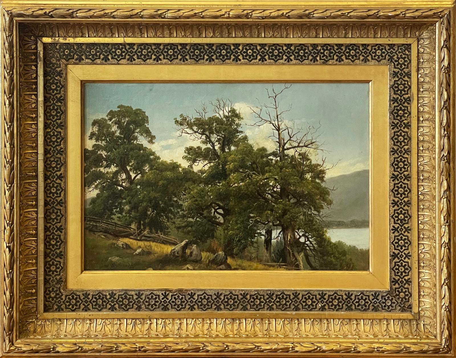 Tree Study, Lake George