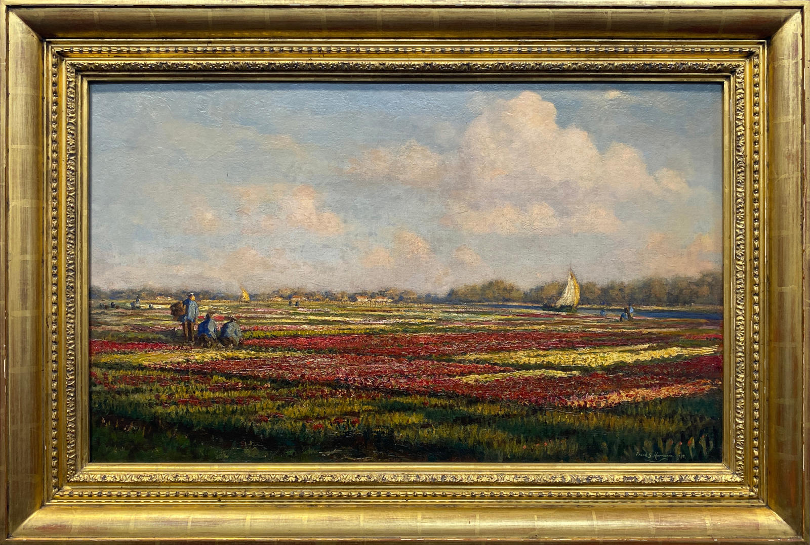 In the Flower Fields