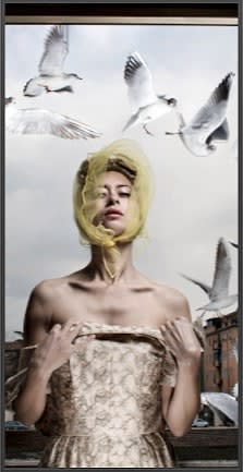 Lulu’s Seagulls, Verona, a tryptic