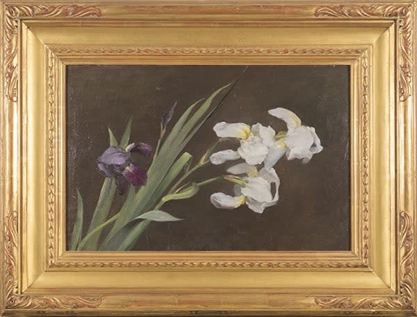 Purple and White Iris, circa 1895