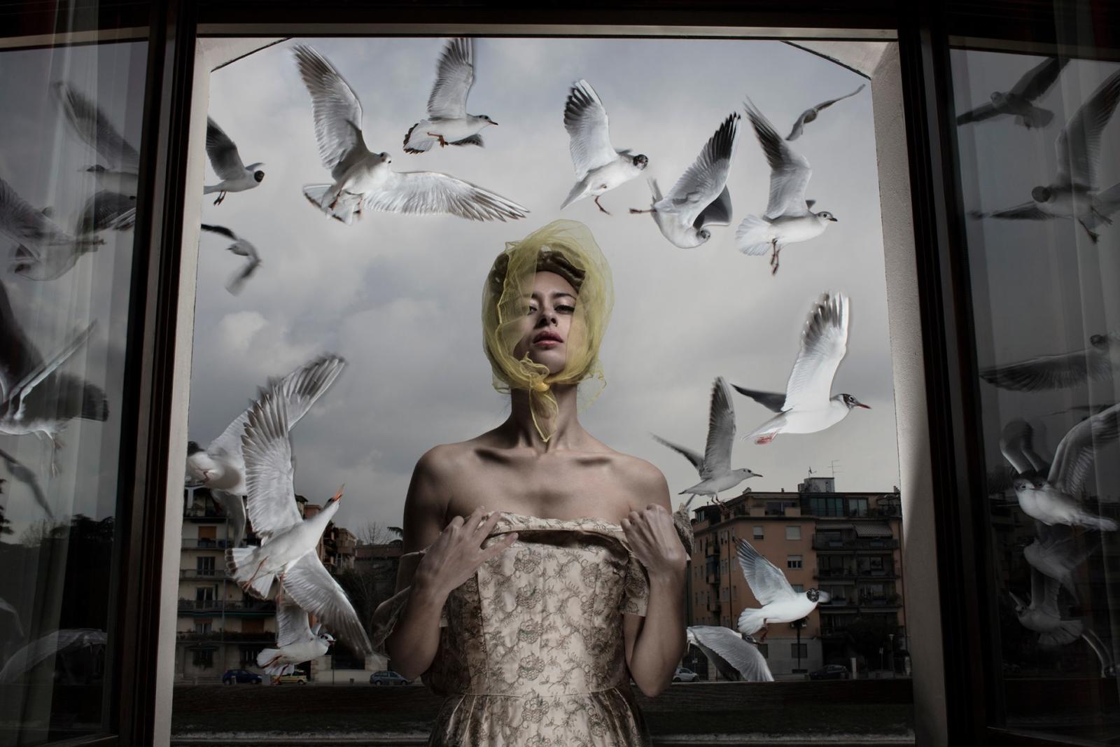 Lulu’s Seagulls, Verona