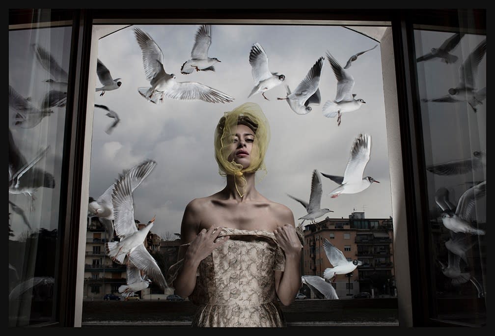 Lulu’s Seagulls, Verona, a tryptic
