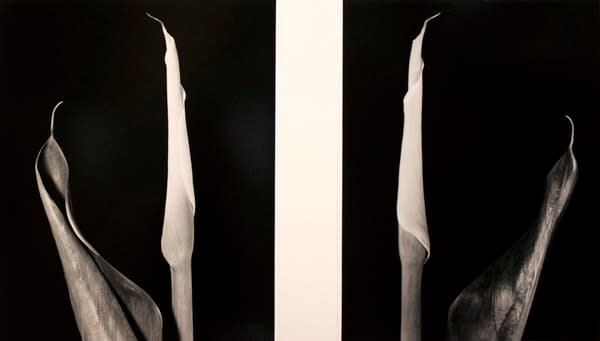 Calla Diptych