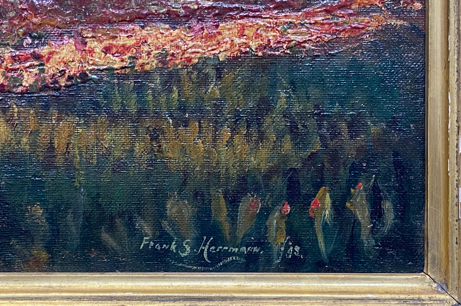 In the Flower Fields