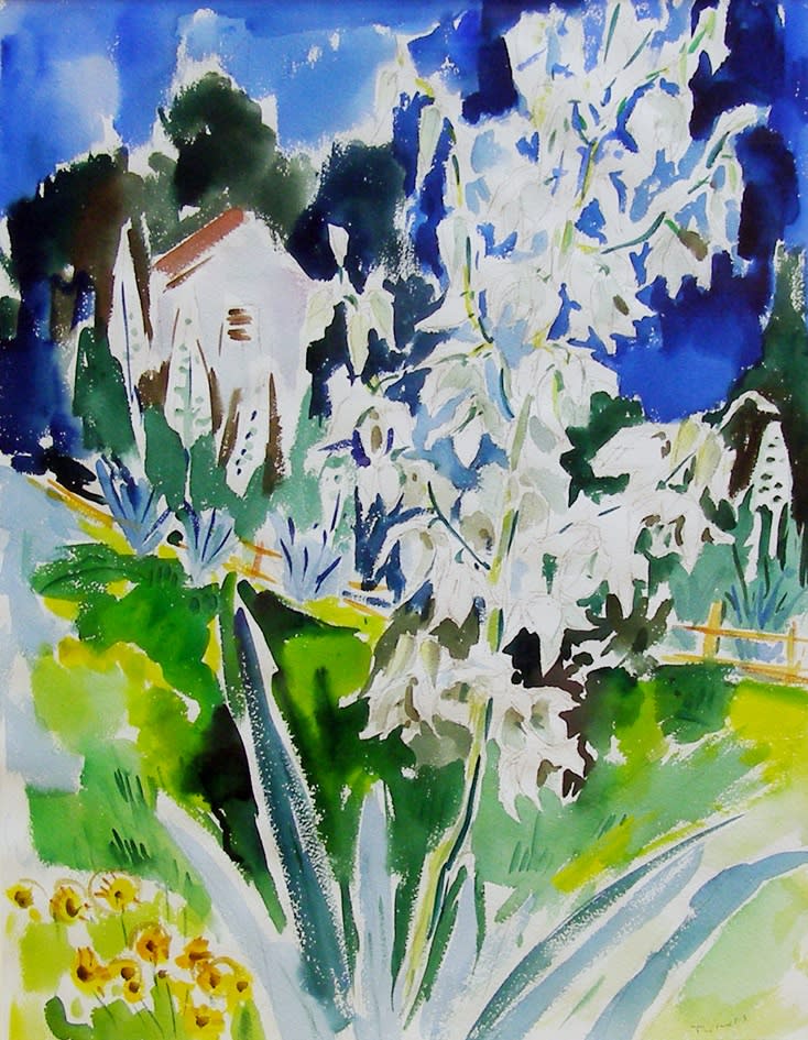 Werner Drewes, Yucca Growing in Garden, Circa 1960