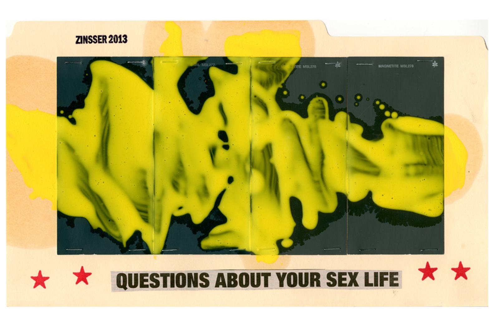 John Zinsser, File Study: Questions About Your Sex Life, 2013