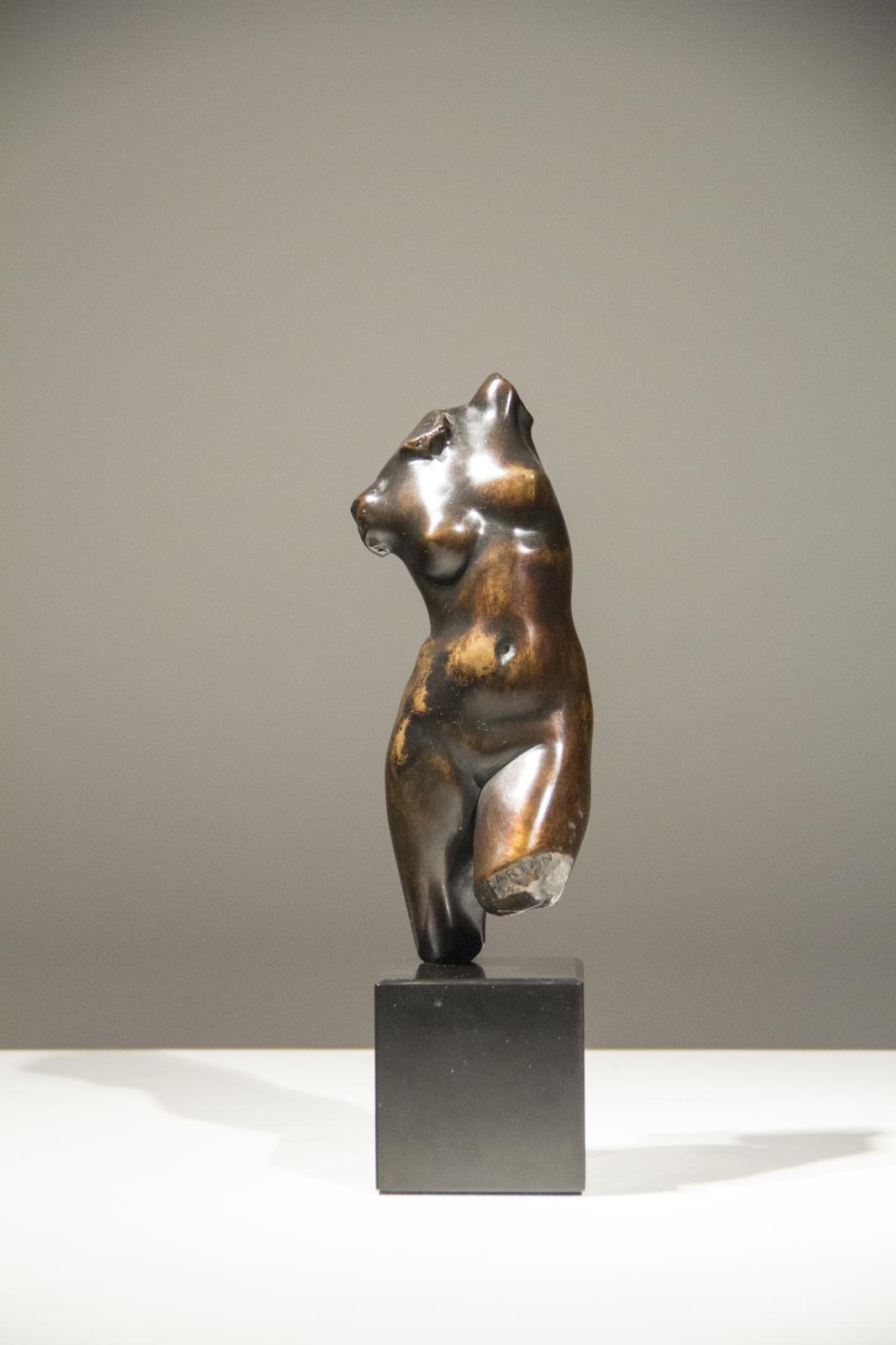 Diana Torso
