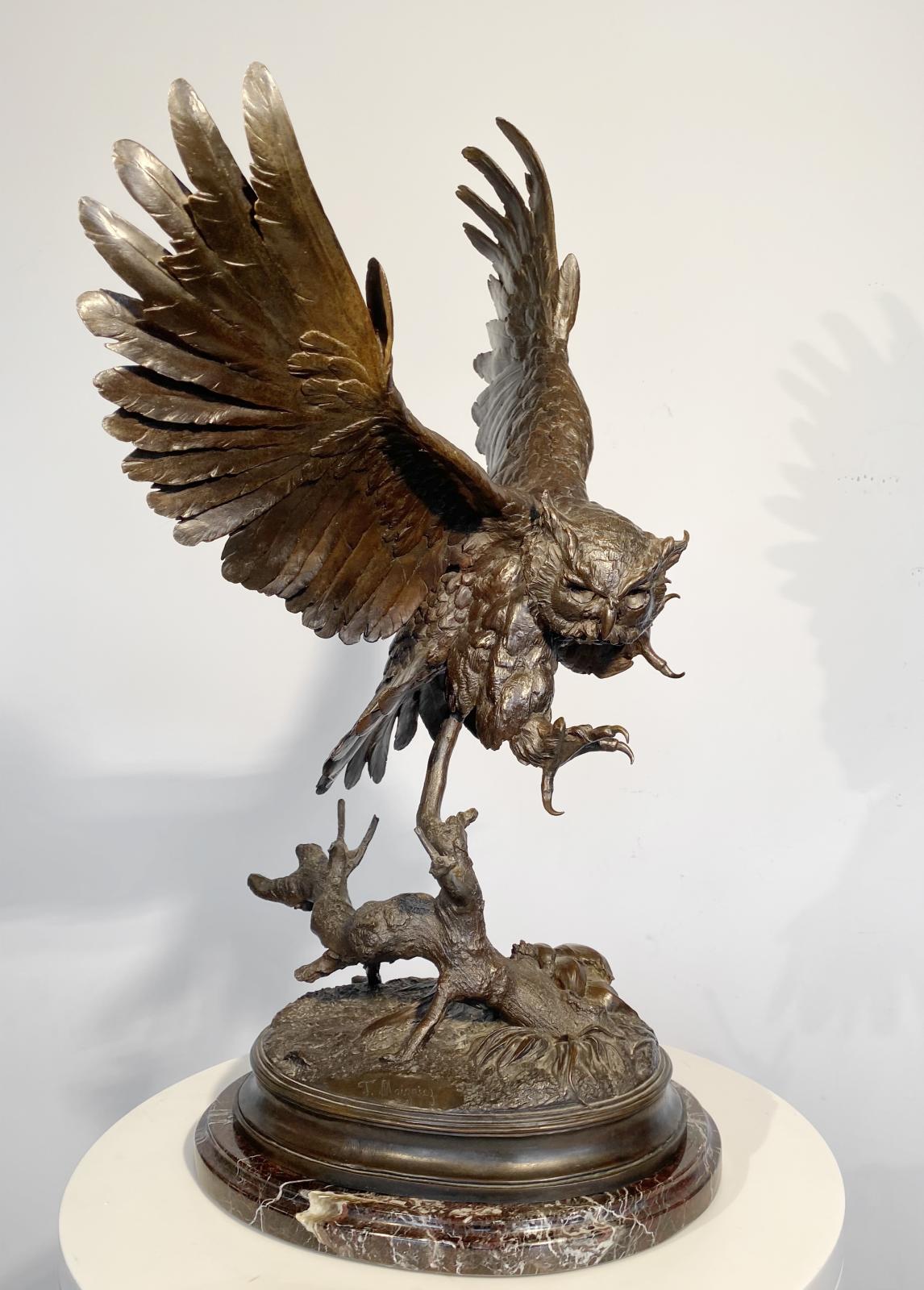 Owl
