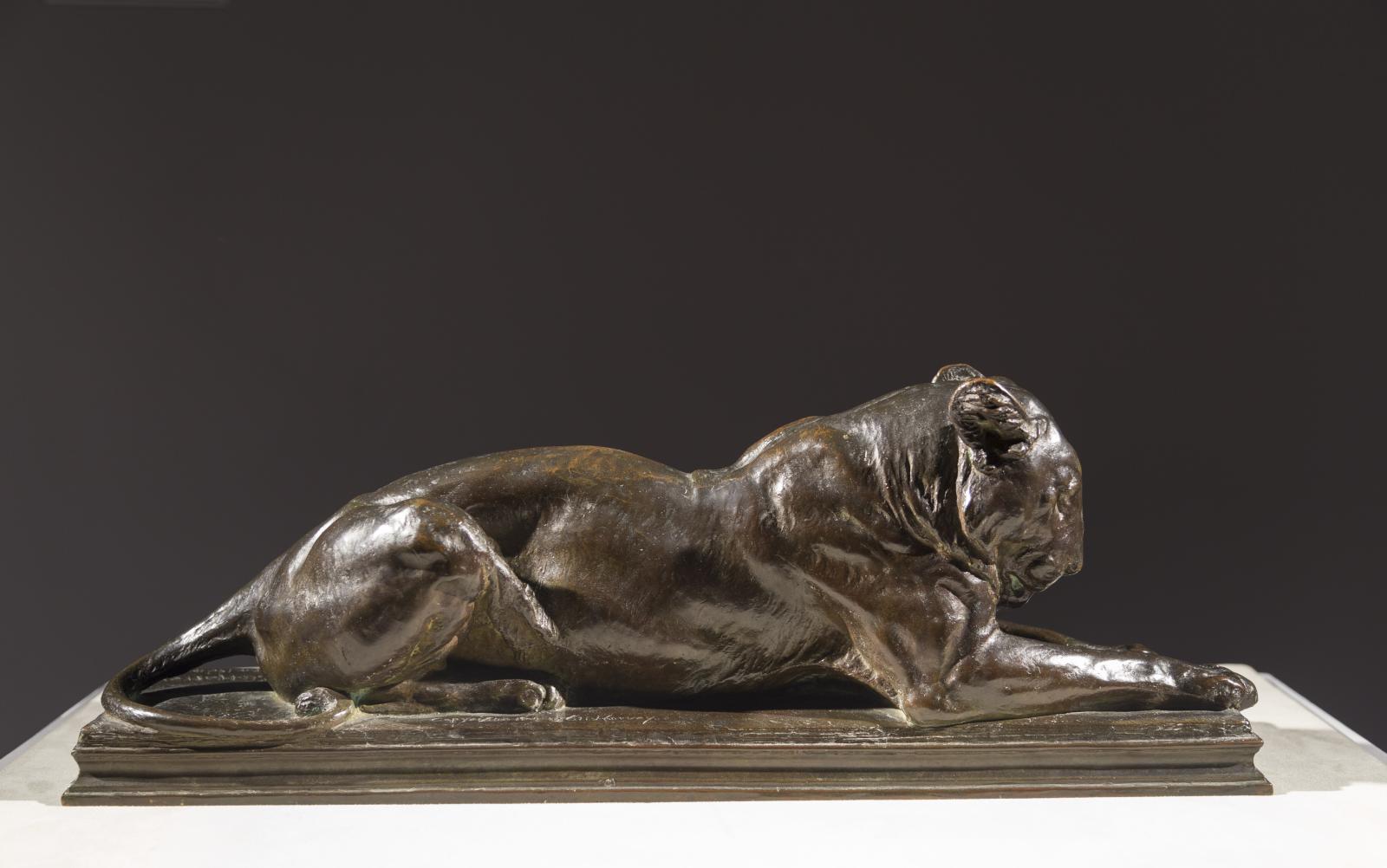 Recumbent Lioness