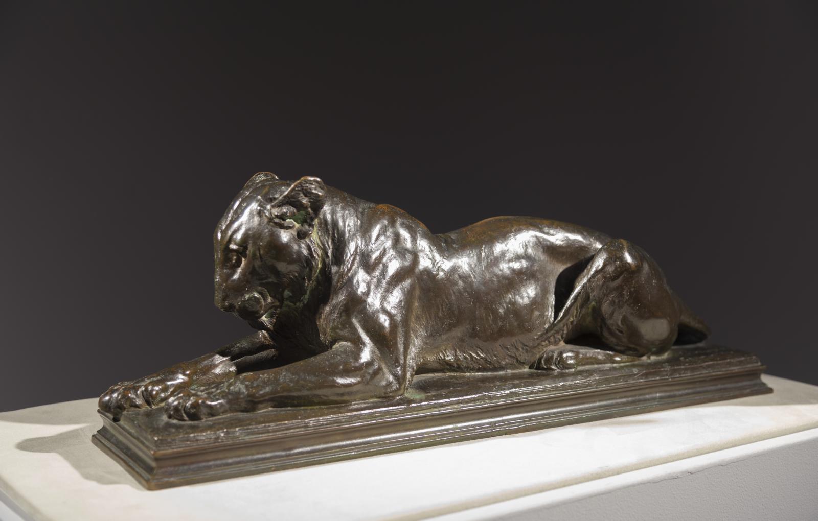 Recumbent Lioness
