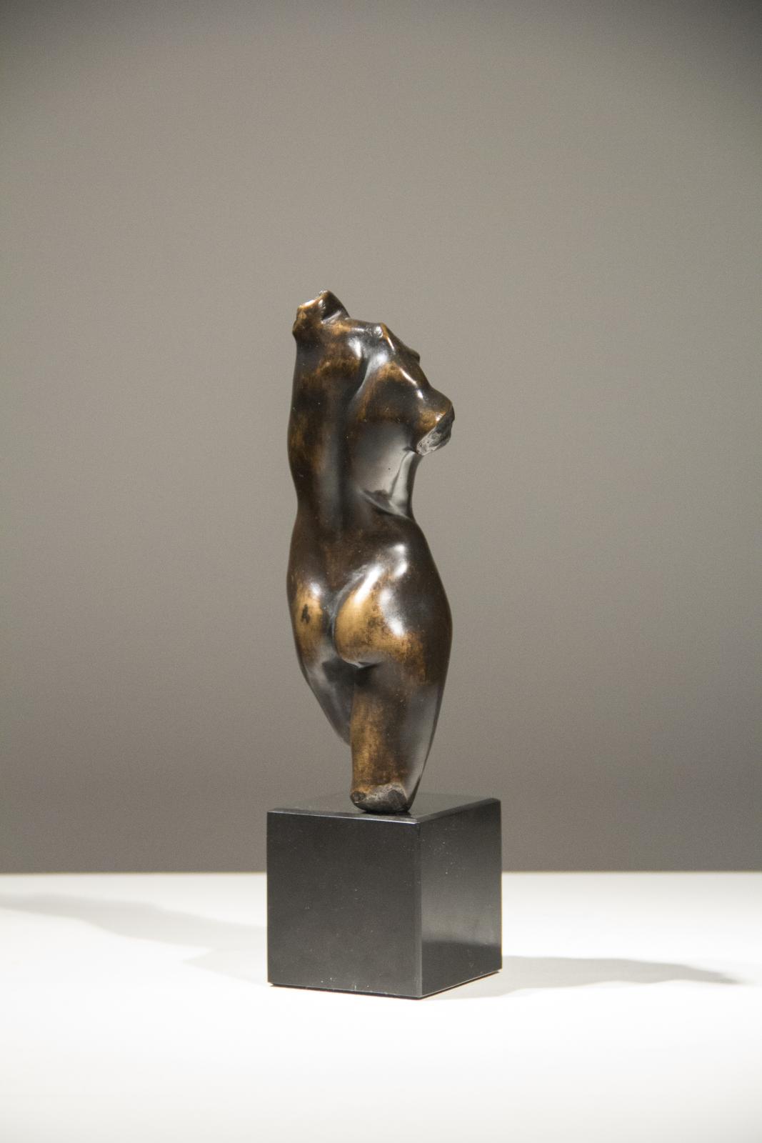 Diana Torso