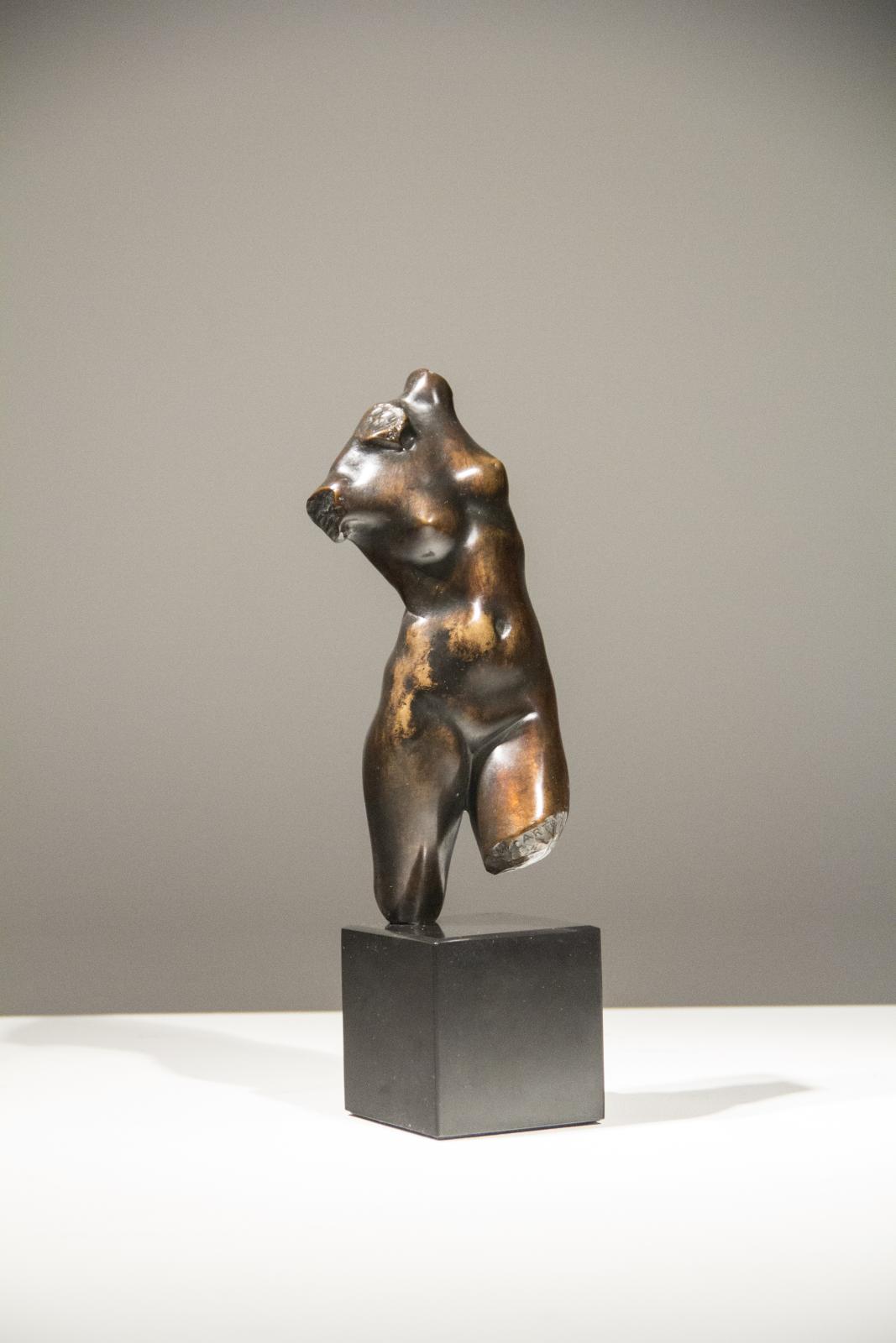 Diana Torso