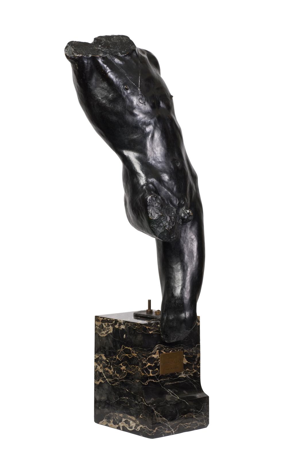 Torse D'Adolescent
