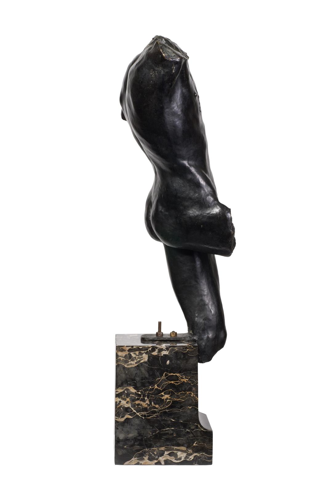 Torse D'Adolescent