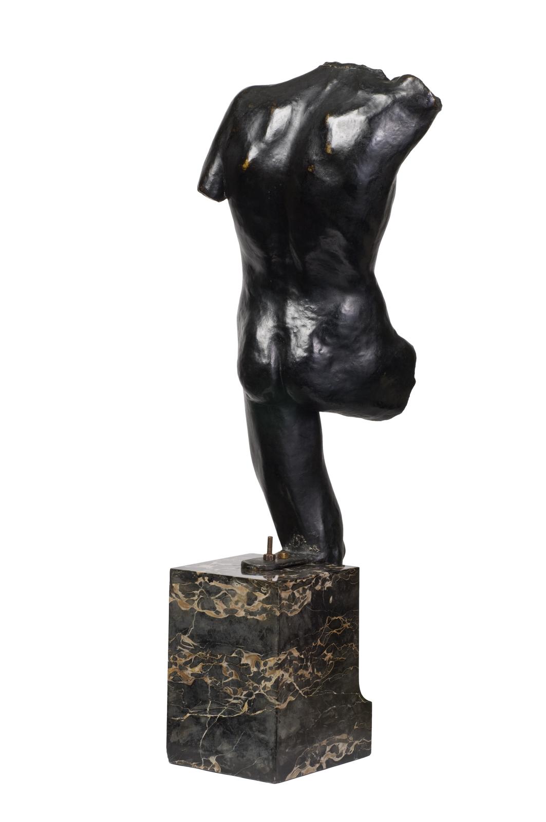 Torse D'Adolescent