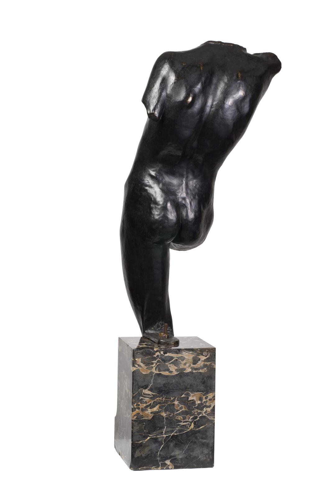 Torse D'Adolescent