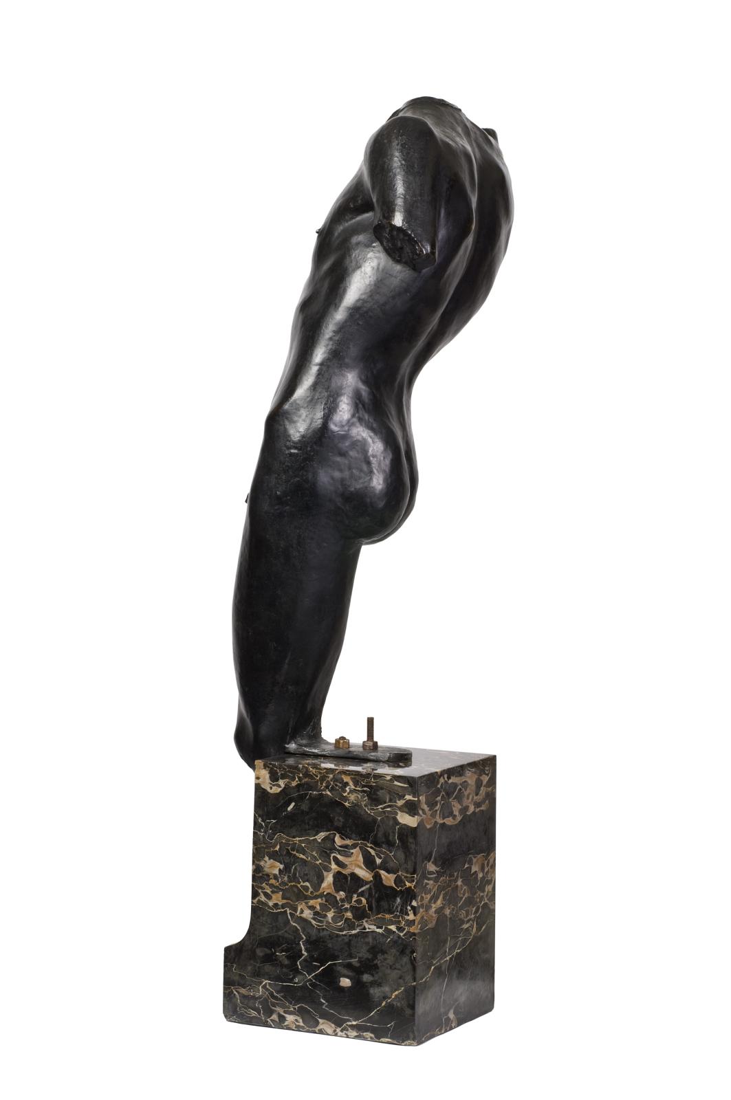 Torse D'Adolescent