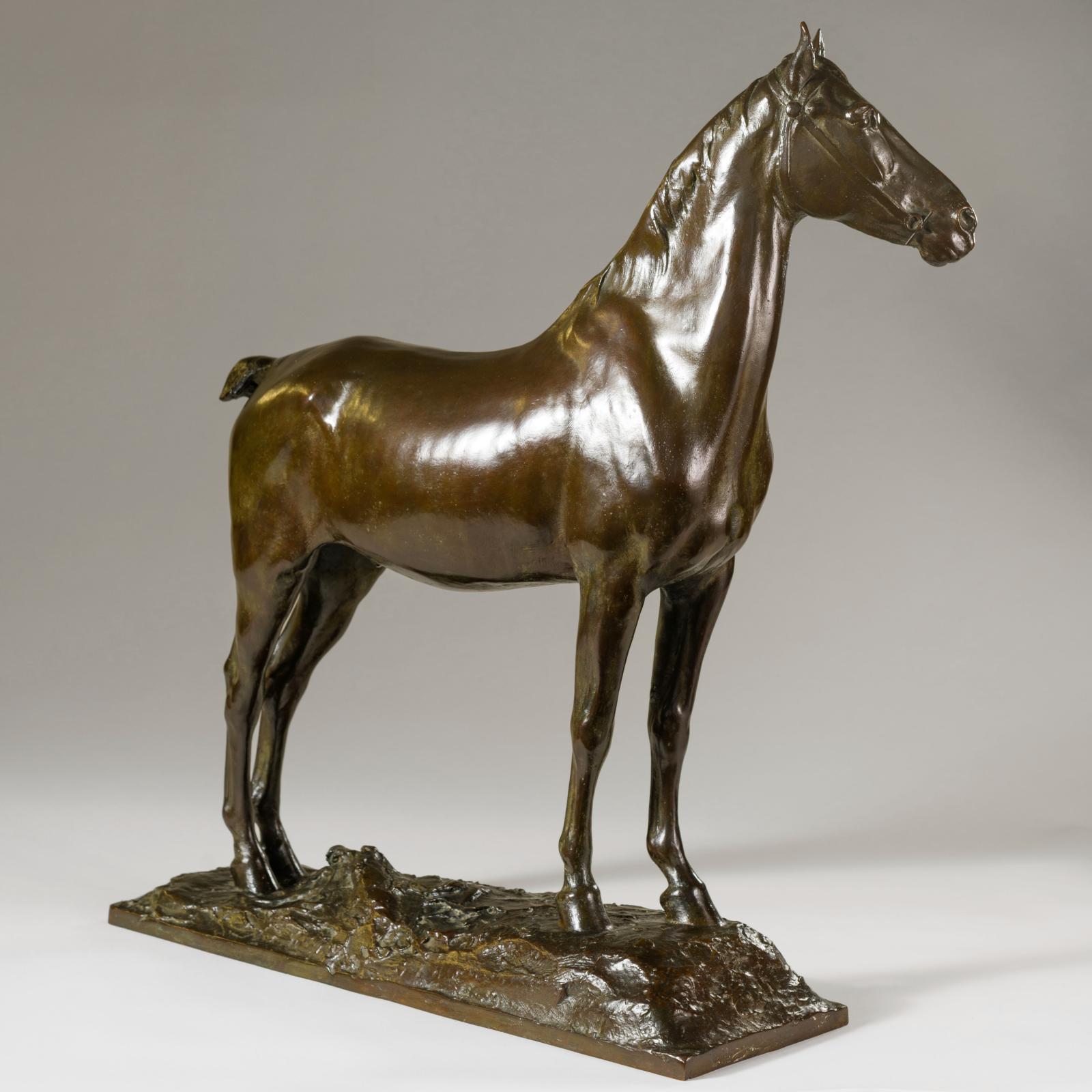 Standing Hunter Stallion