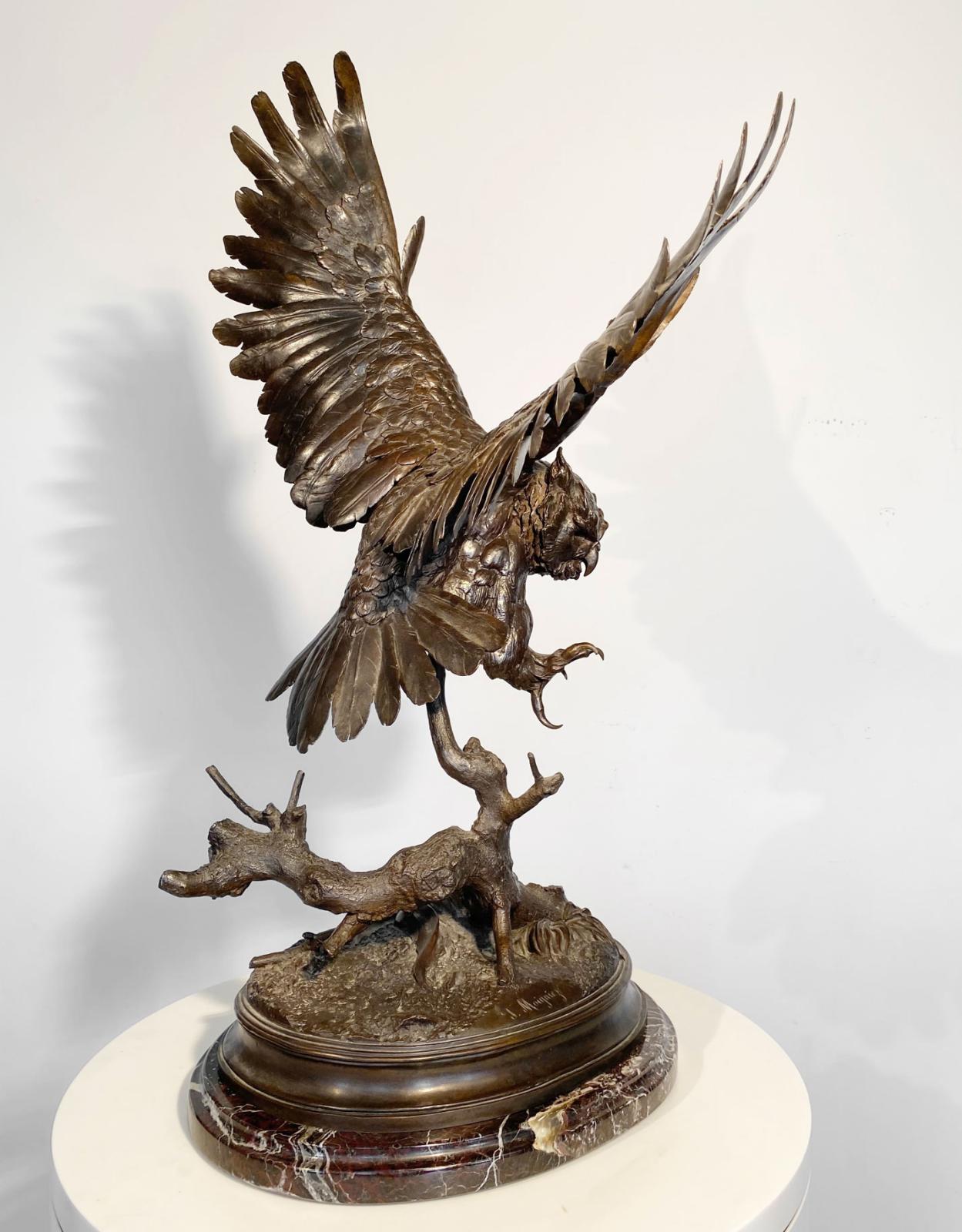 Owl