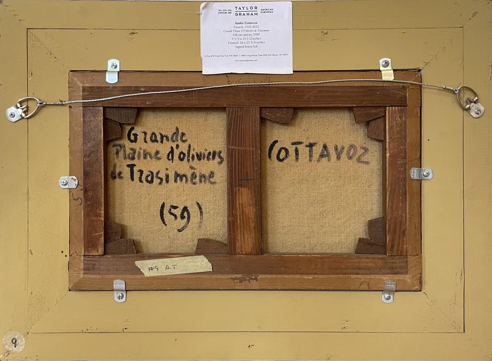 Grande Plaine D'Oliviers de Trasimène