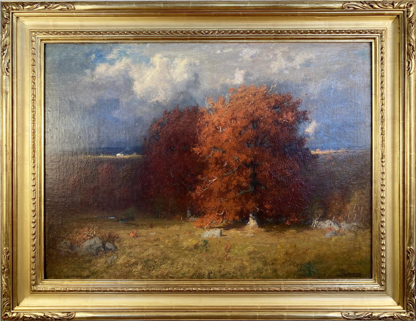 Ancient Oaks