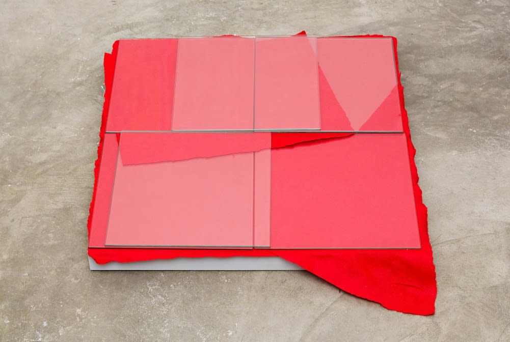 Adriano Costa, Sem Título - Vermelho, 2012