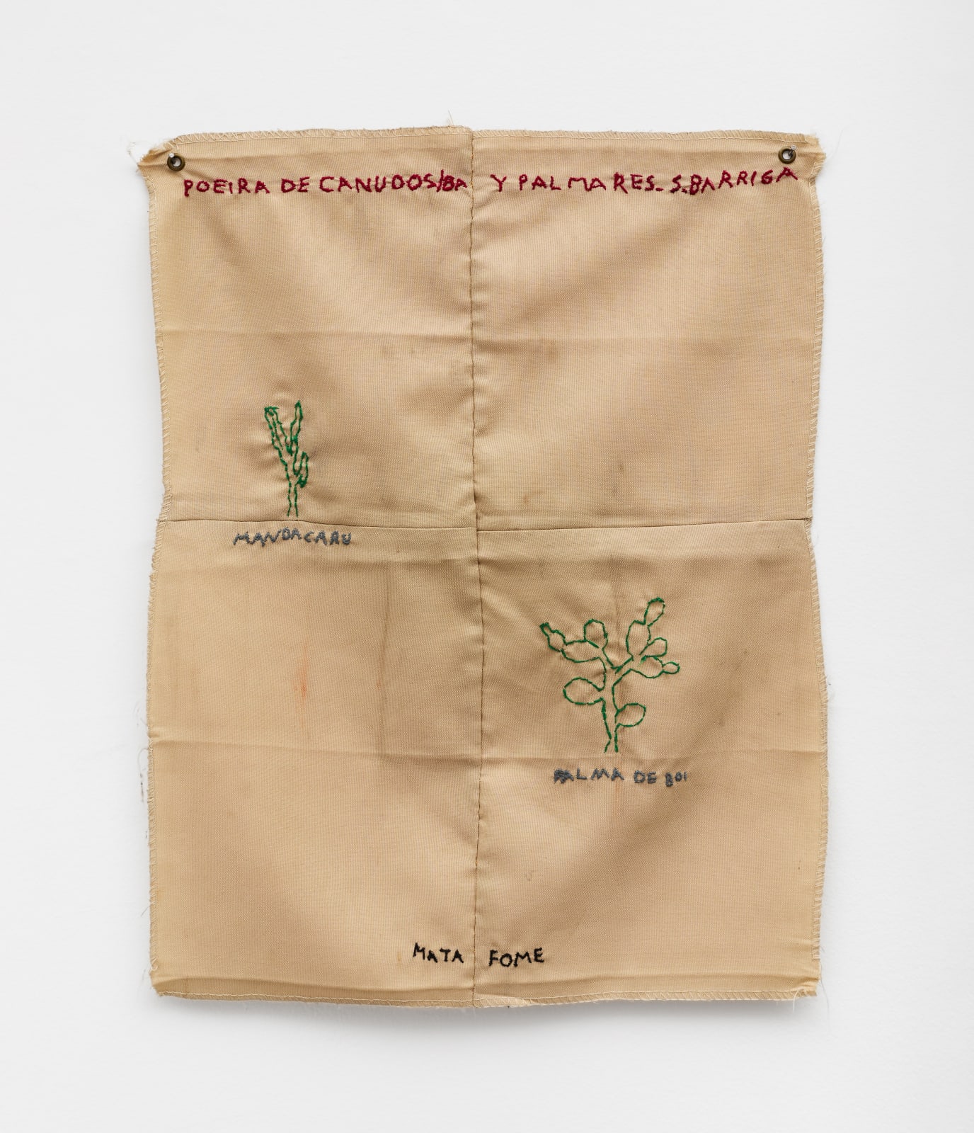 Paulo Nazareth, Mata Fome, 2020