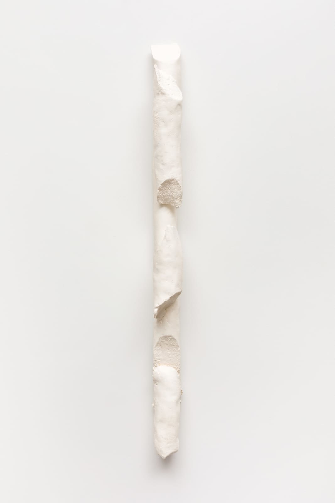 Paulo Monteiro, Untitled/ Sem título, 2023