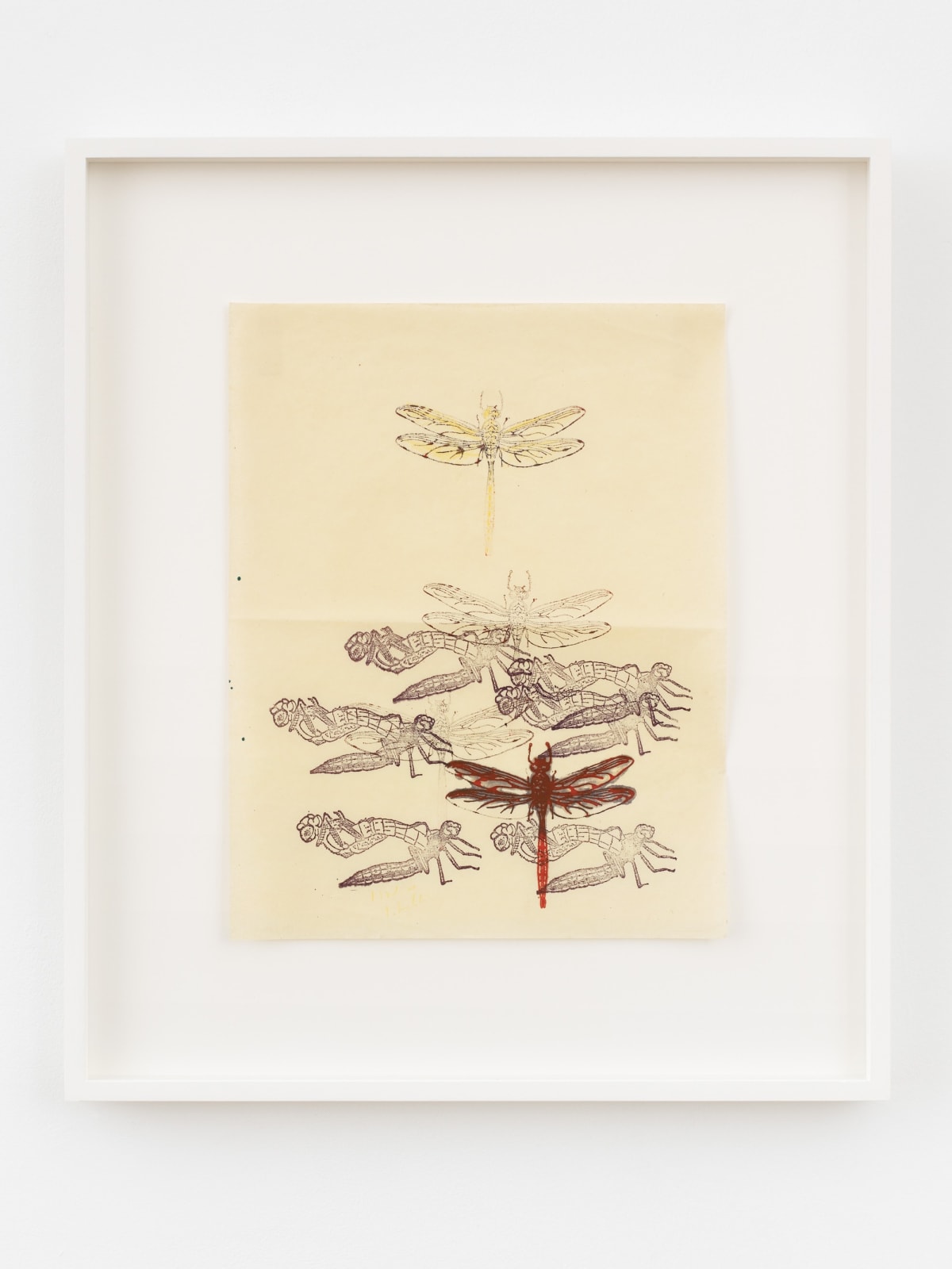 Heidi Bucher, Der Schlupfakt, 1981