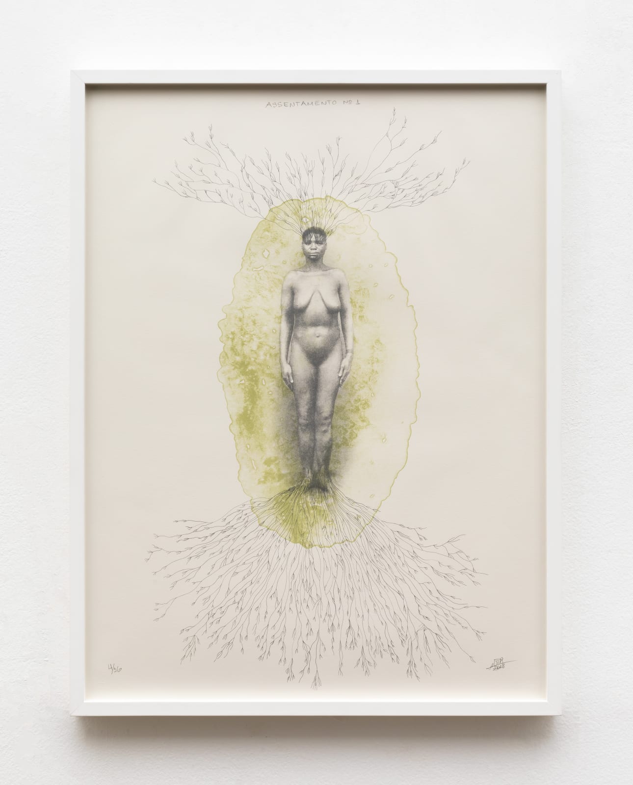 Rosana Paulino, ASSENTAMENTO N. 1, 2013