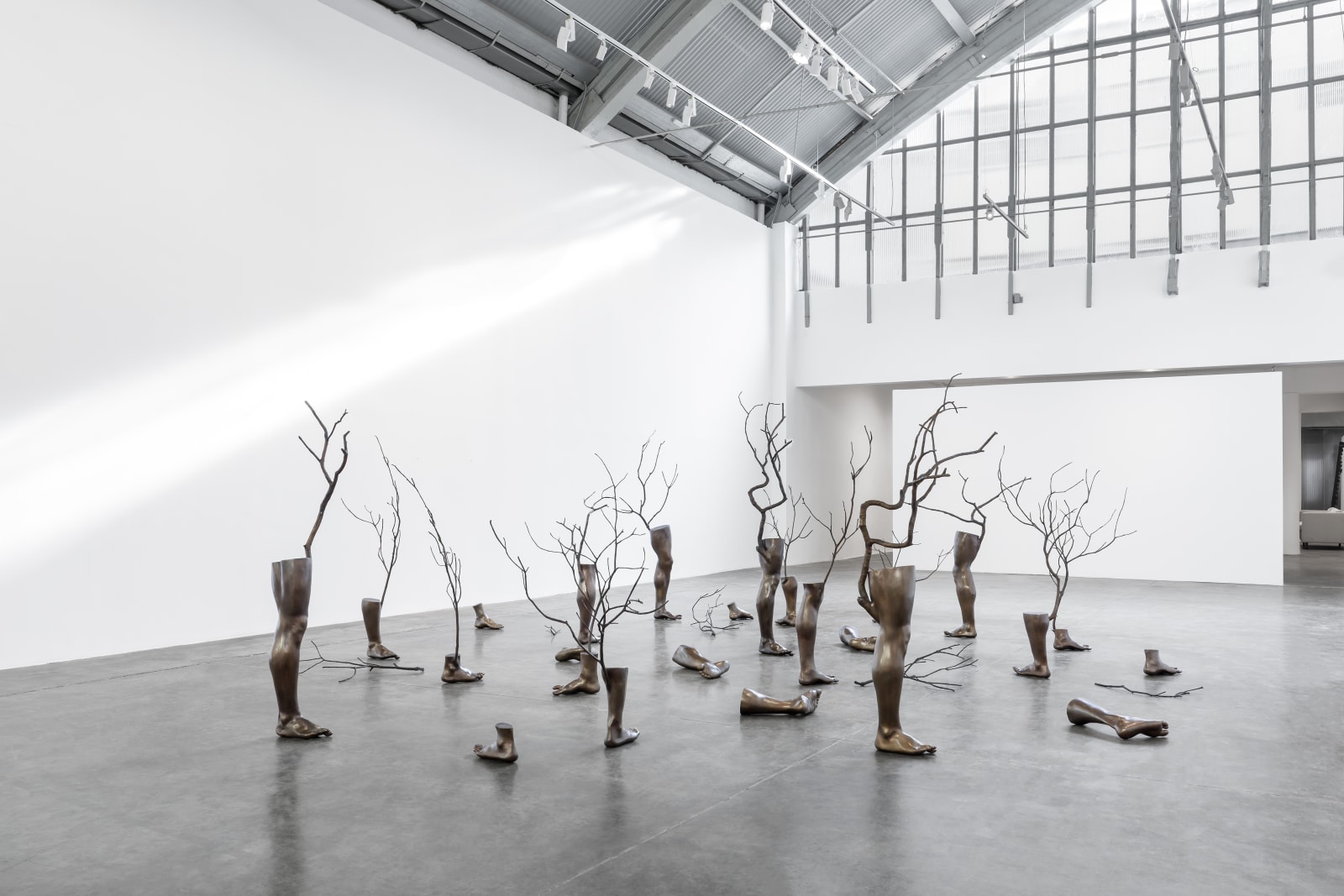 Antonio Obá, Ka’a pora, 2024