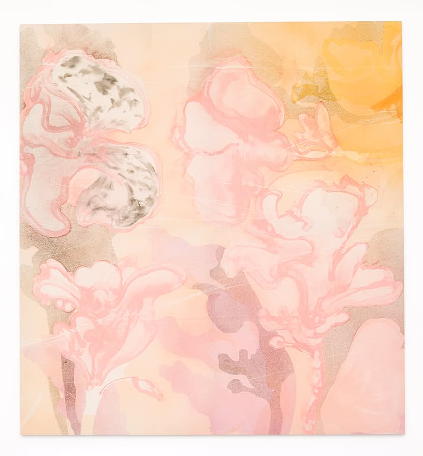 Matthew Lutz-Kinoy, Pink opening, 2017