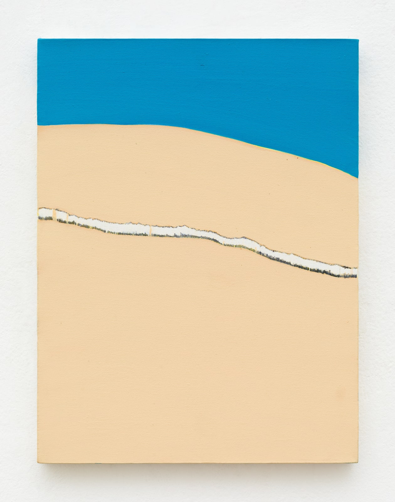Patricia Leite, Untitled (After Francis Alys), 2010
