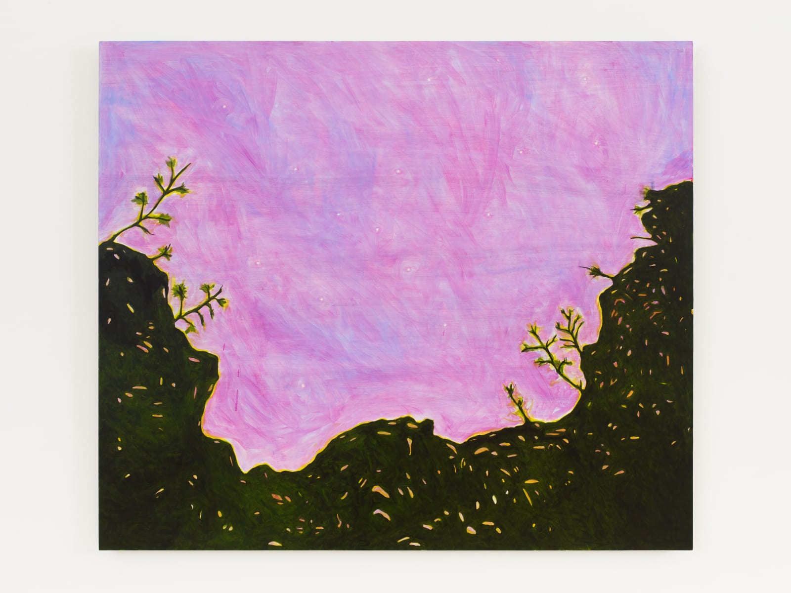 Patricia Leite, Boreal, 2024